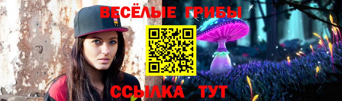 Ставрополь  Псилоцибиновые грибы мухоморы  как найти закладки  Вход с VPN 